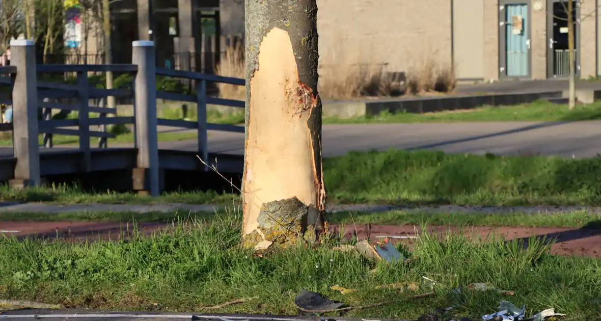 Bestuurder botst tegen boom - Foto 6
