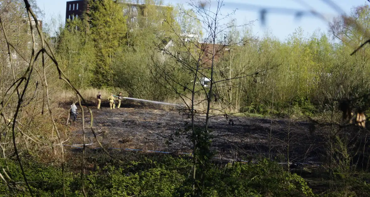 Natuurgebied in vlammen, tram- en busverkeer gestremd