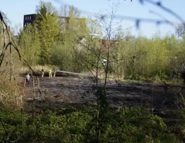 Natuurgebied in vlammen, tram- en busverkeer gestremd