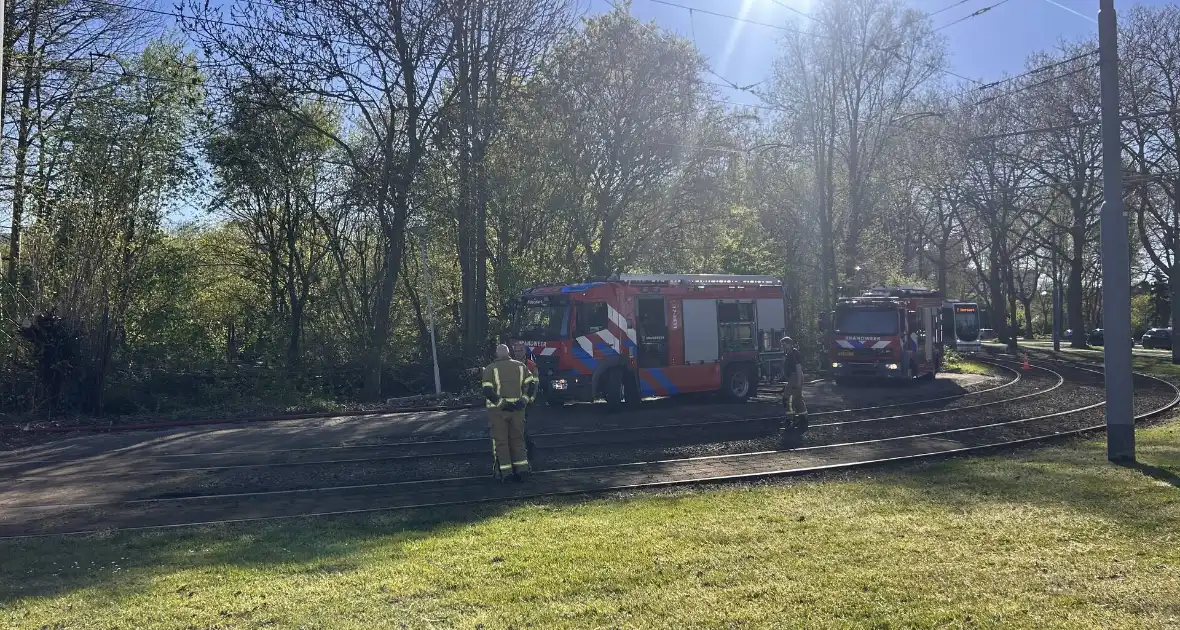 Natuurgebied in vlammen, tram- en busverkeer gestremd - Foto 2