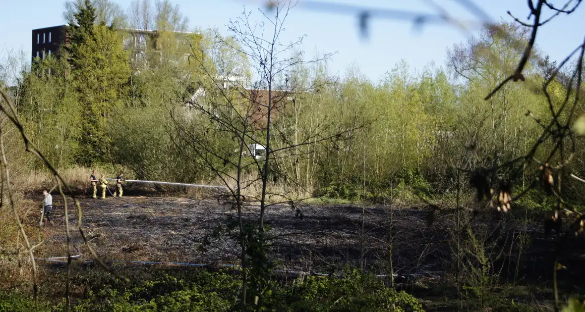 Natuurgebied in vlammen, tram- en busverkeer gestremd - Foto 4