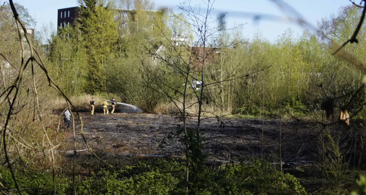 Natuurgebied in vlammen, tram- en busverkeer gestremd - Foto 7