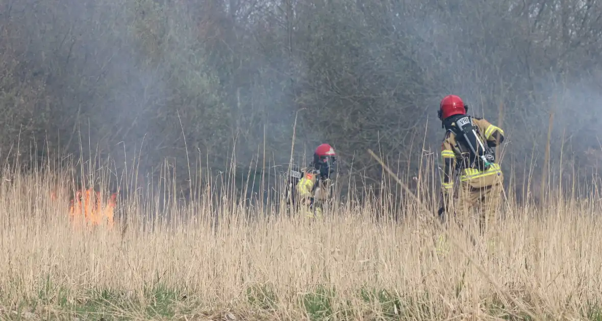 Brand in rietgebied snel geblust