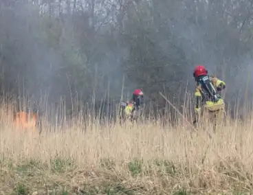 Brand in rietgebied snel geblust