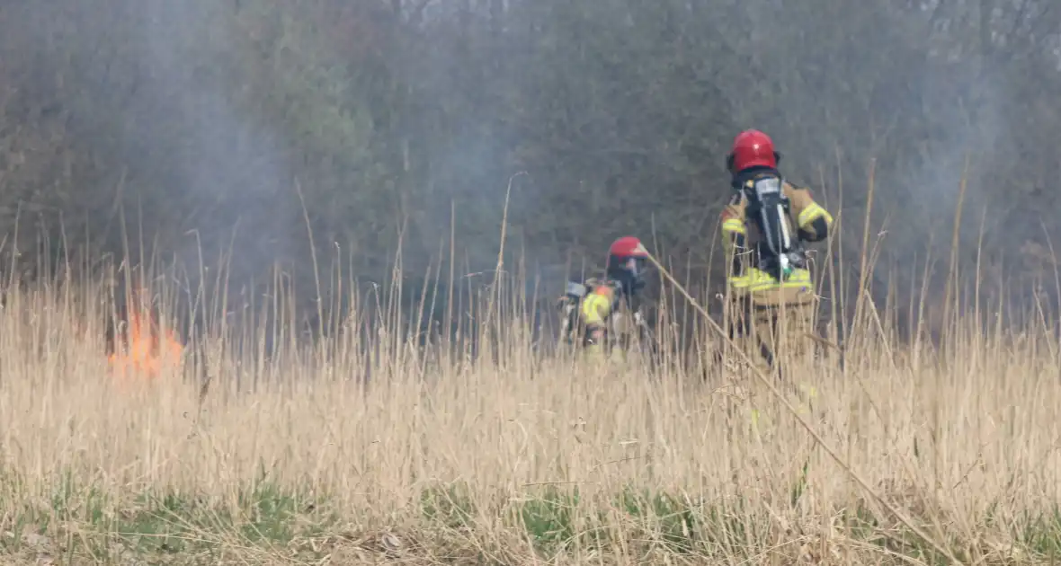 Brand in rietgebied snel geblust - Foto 1