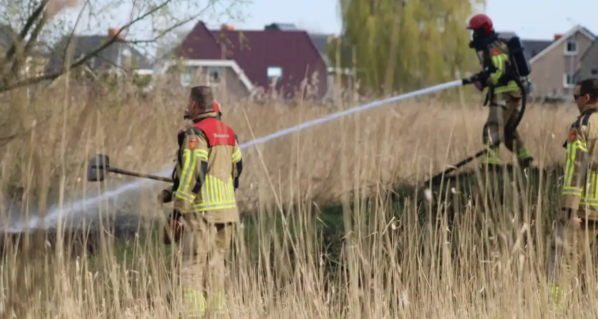 Brand in rietgebied snel geblust - Foto 11