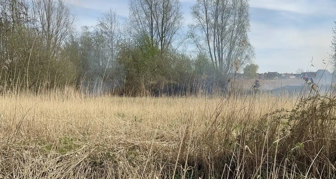 Brand in rietgebied snel geblust - Foto 18
