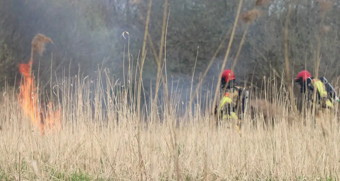 Brand in rietgebied snel geblust - Foto 2
