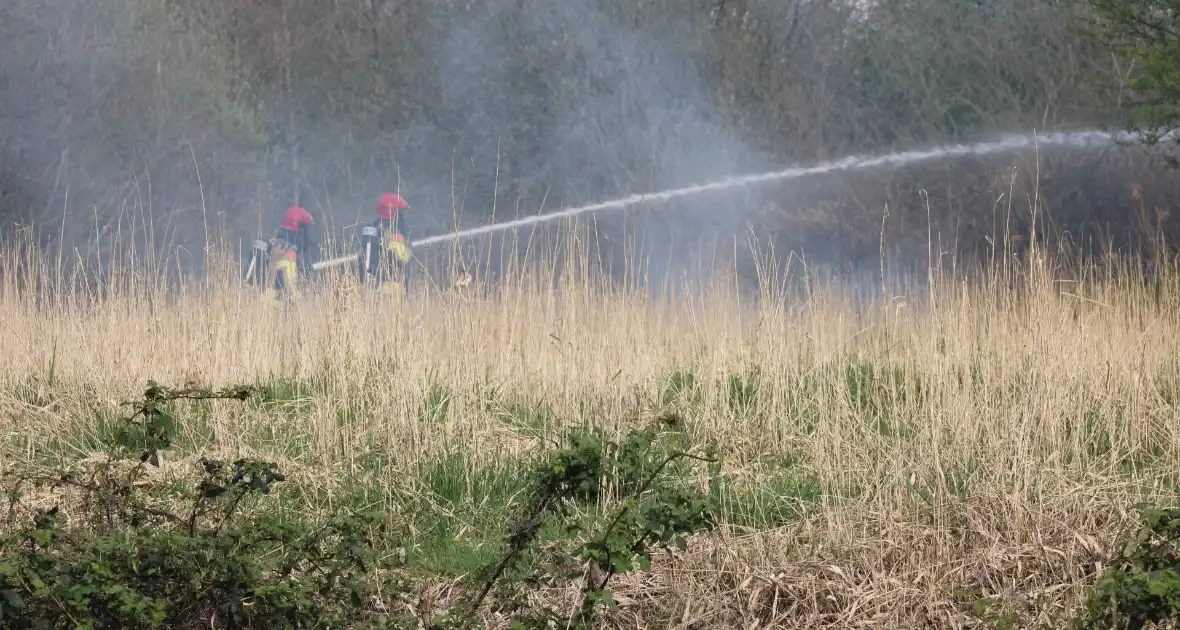 Brand in rietgebied snel geblust - Foto 3