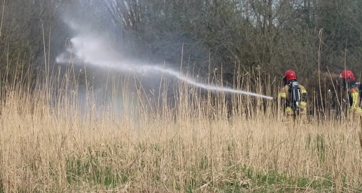 Brand in rietgebied snel geblust - Foto 4