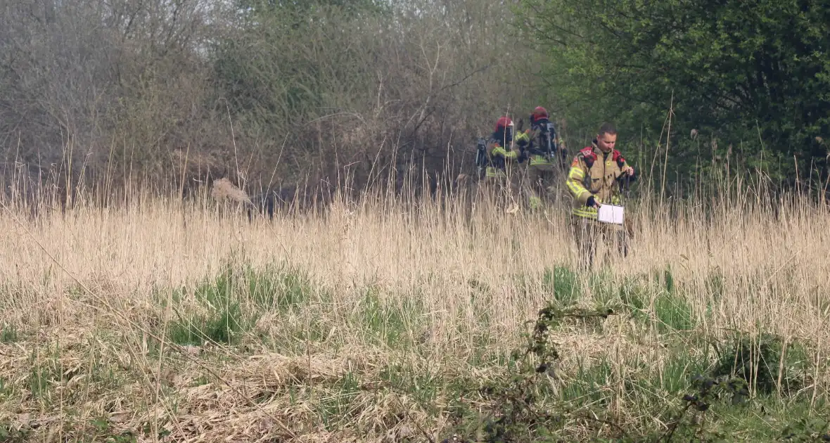 Brand in rietgebied snel geblust - Foto 5