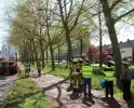 Dierenambulance en brandweer halen kat uit boom