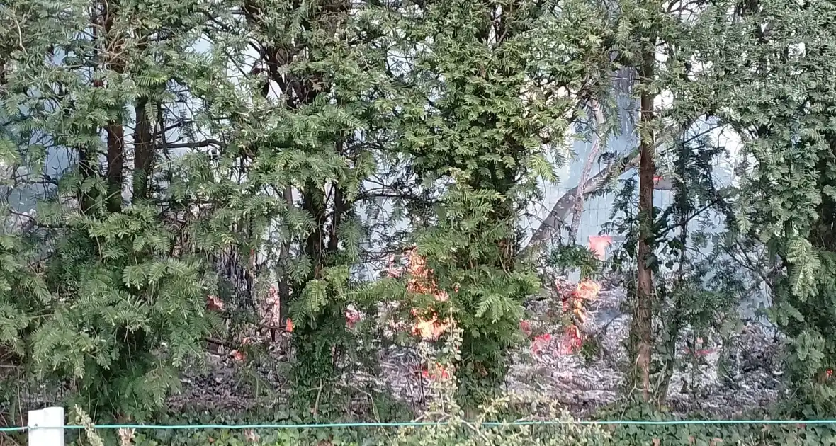 Grote coniferenhaag vliegt in brand - Foto 2