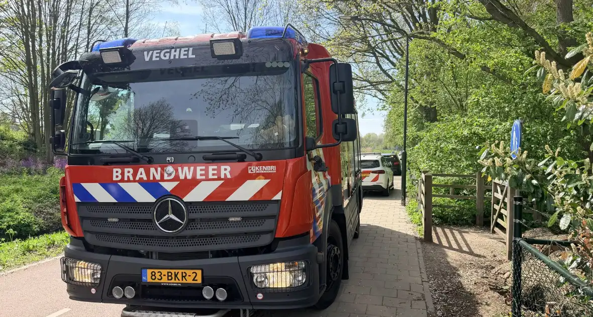 Jongeren steken boom in brand in Veghel