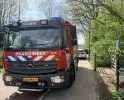 Jongeren steken boom in brand in Veghel