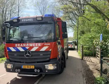 Jongeren steken boom in brand in Veghel