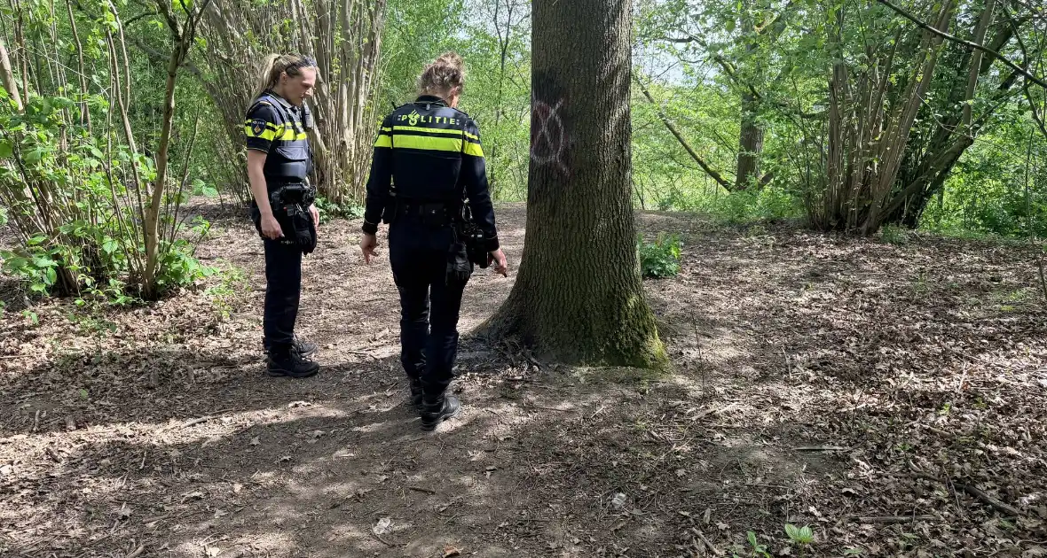 Jongeren steken boom in brand in Veghel - Foto 2
