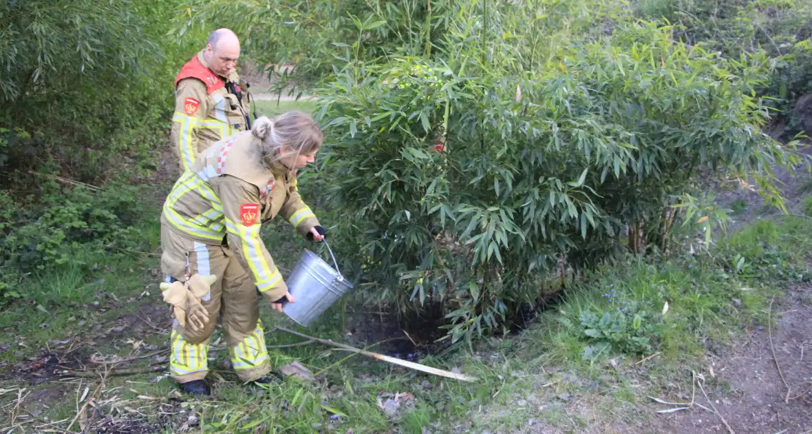 Jeugd ontdekt brand en schakelt hulpdiensten in - Foto 12