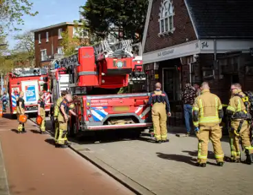 Brandweer redt neilganzen uit schoorsteen