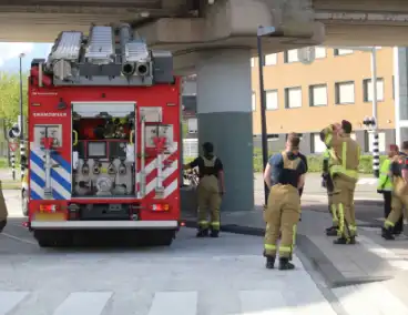 Brandweer redt duiven uit benarde situatie