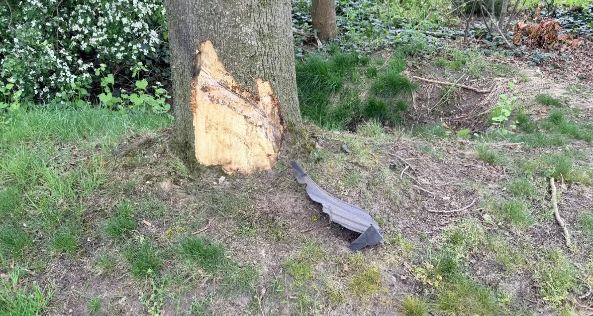 Auto botst tegen boom, bestuurder ongedeerd - Foto 2