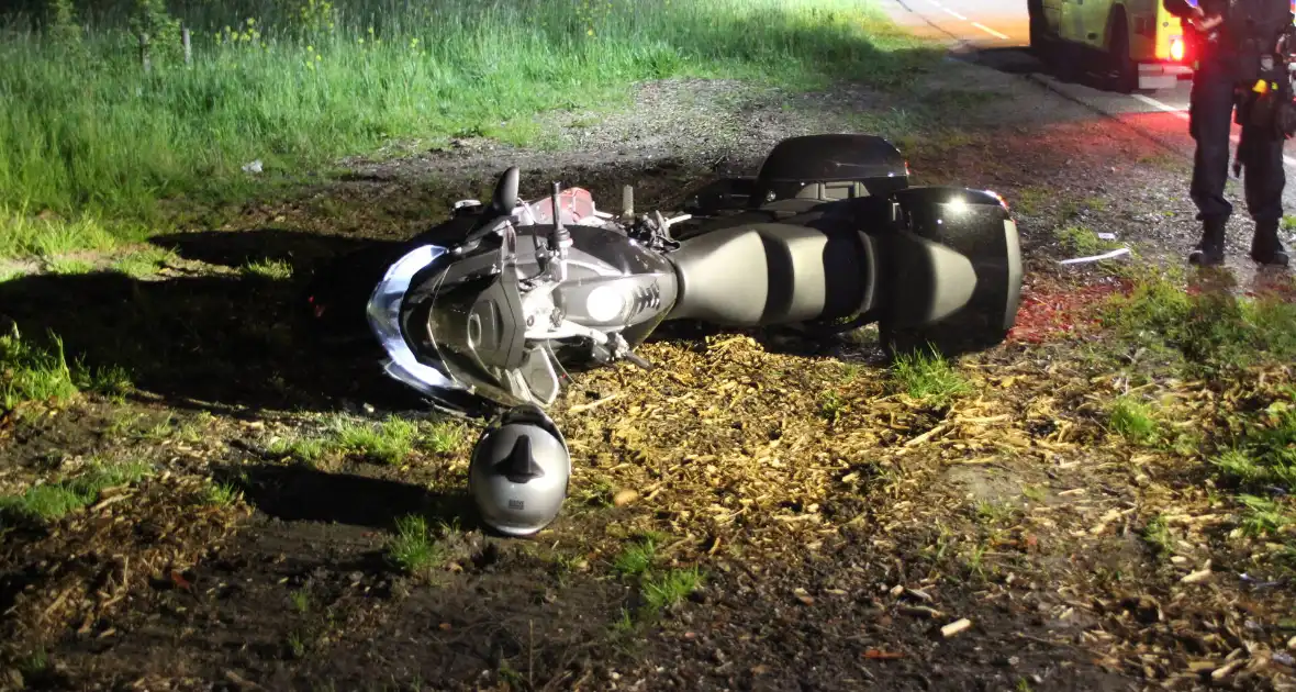 Motorrijder valt na botsing met zwaan - Foto 1
