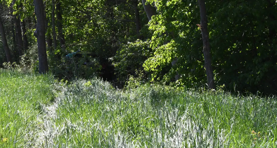 Bestuurster rakelings langs bomen bij ongeval - Foto 2