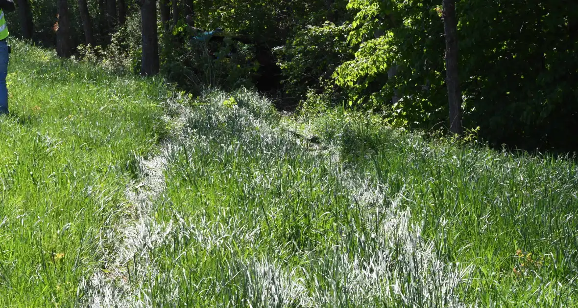 Bestuurster rakelings langs bomen bij ongeval - Foto 7