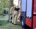 Kat bevrijd uit stenen pizzaoven