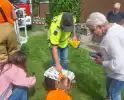 Hulpverlening voor kat in boom