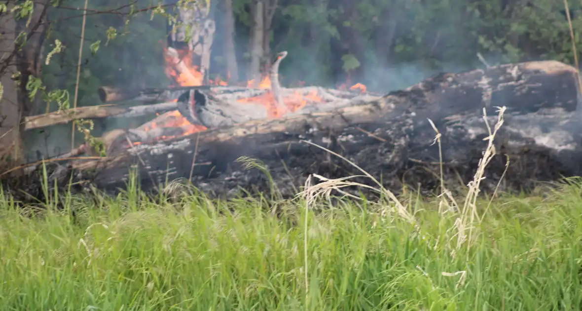 Brandende boomstammen moeilijk te bereiken - Foto 11