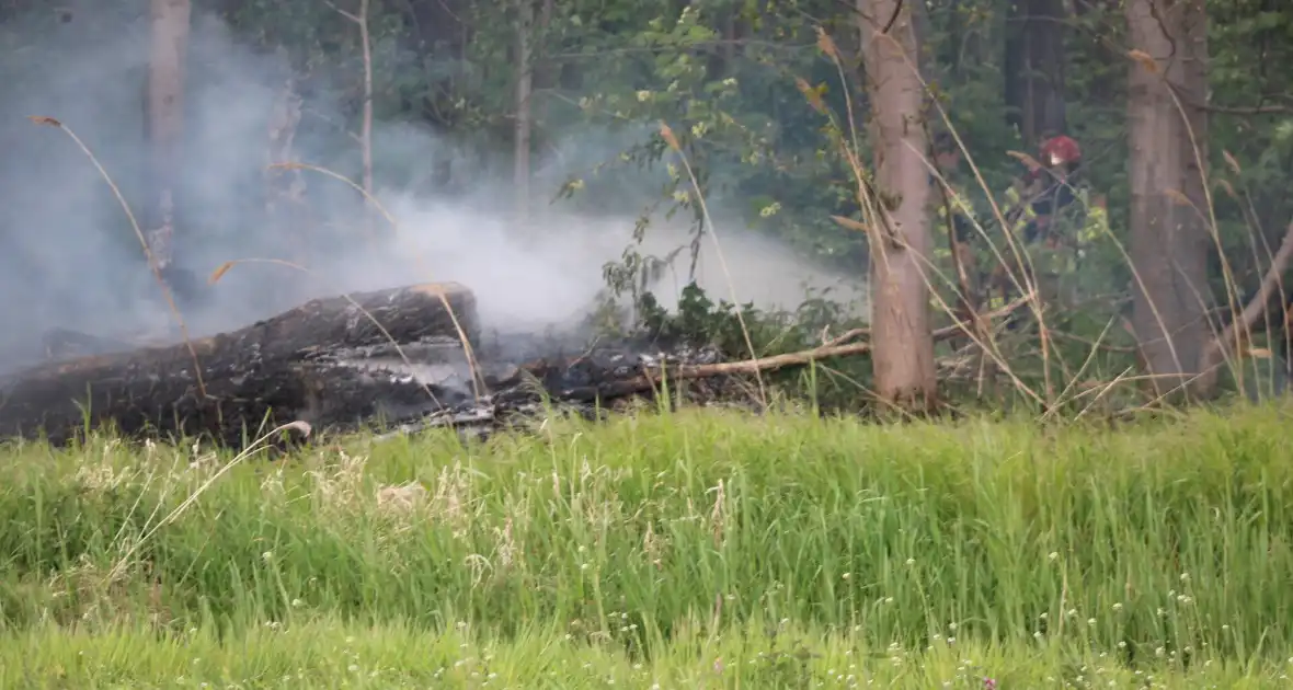 Brandende boomstammen moeilijk te bereiken - Foto 12