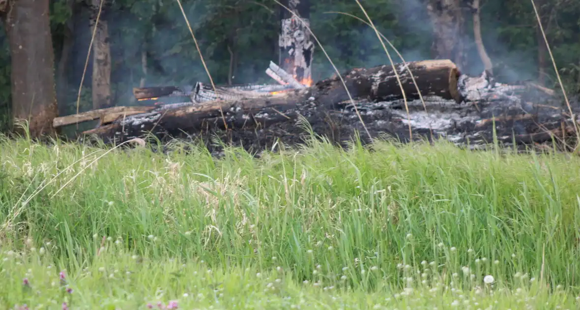Brandende boomstammen moeilijk te bereiken - Foto 13