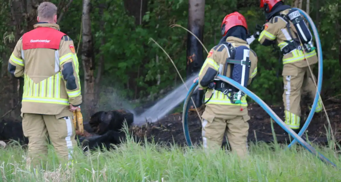 Brandende boomstammen moeilijk te bereiken - Foto 17