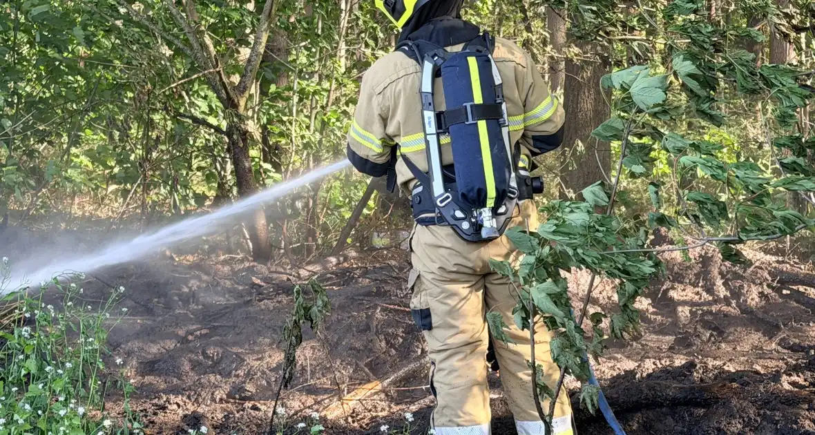 Brand in bosgebied vergt inzet van hulpdiensten - Foto 2