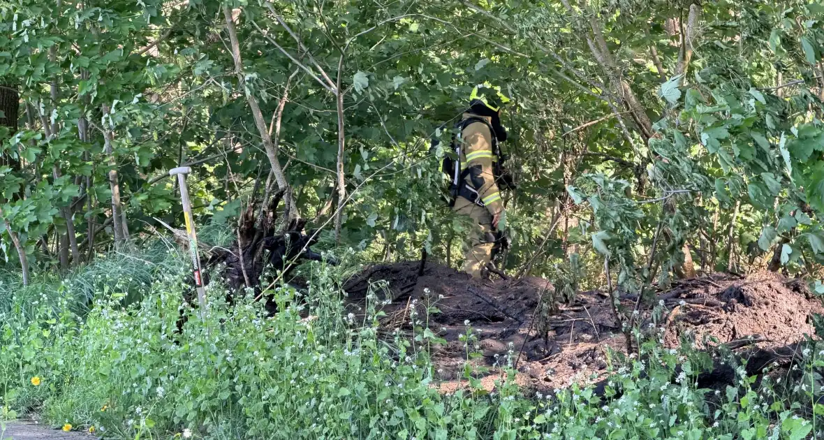 Brand in bosgebied vergt inzet van hulpdiensten - Foto 4