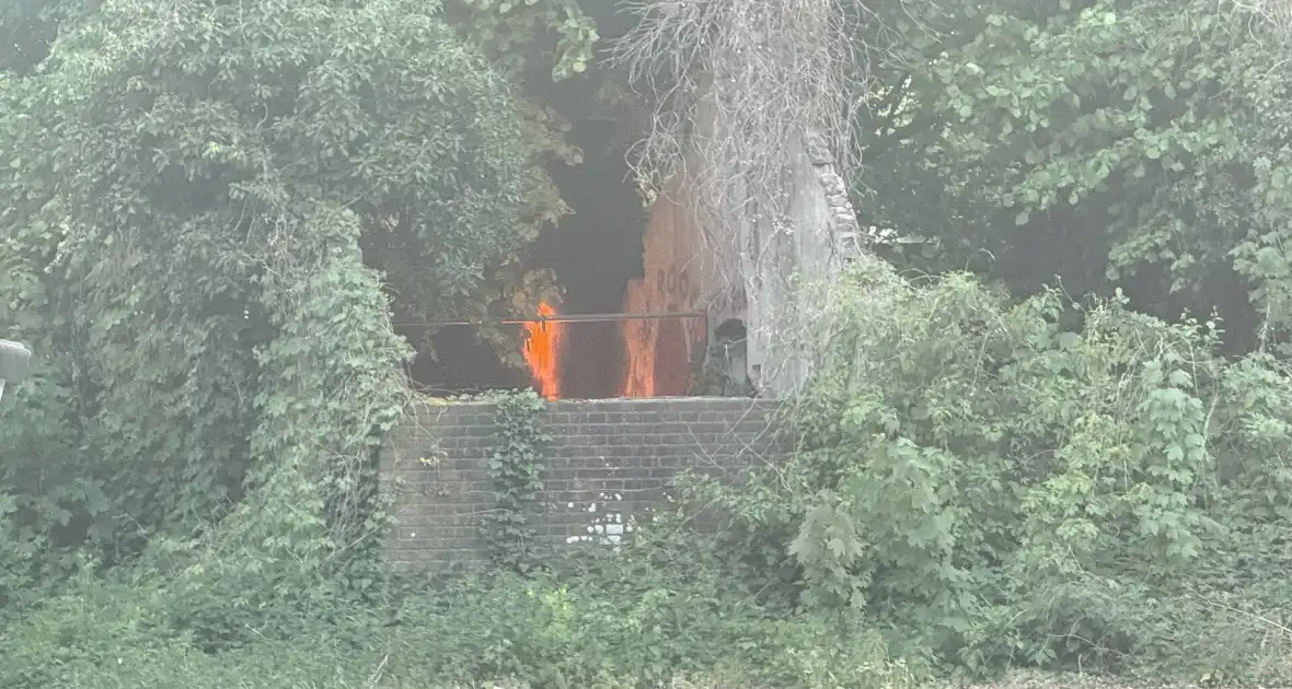 Brandweer blust brand in tuin - Foto 3