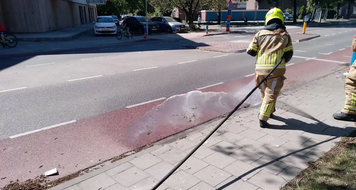 Brandweer blust smeulende boomzaden