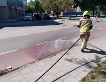 Brandweer blust smeulende boomzaden