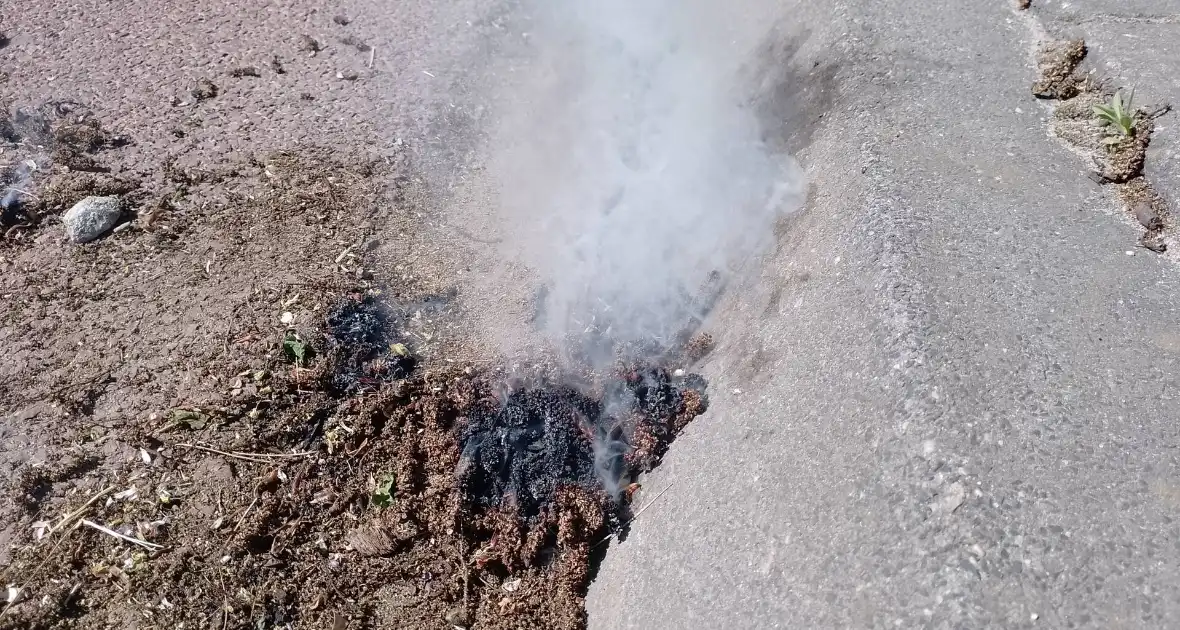 Brandweer blust smeulende boomzaden - Foto 1