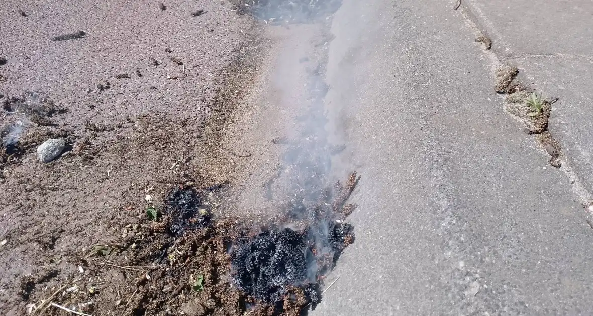 Brandweer blust smeulende boomzaden - Foto 2