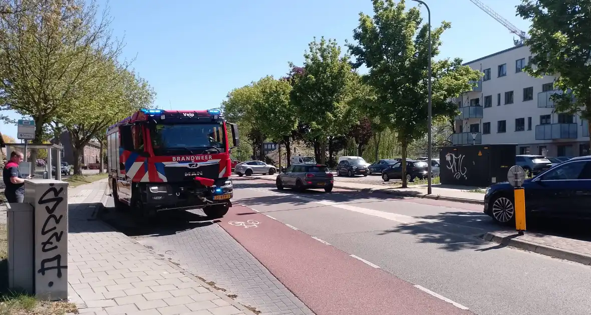 Brandweer blust smeulende boomzaden - Foto 3