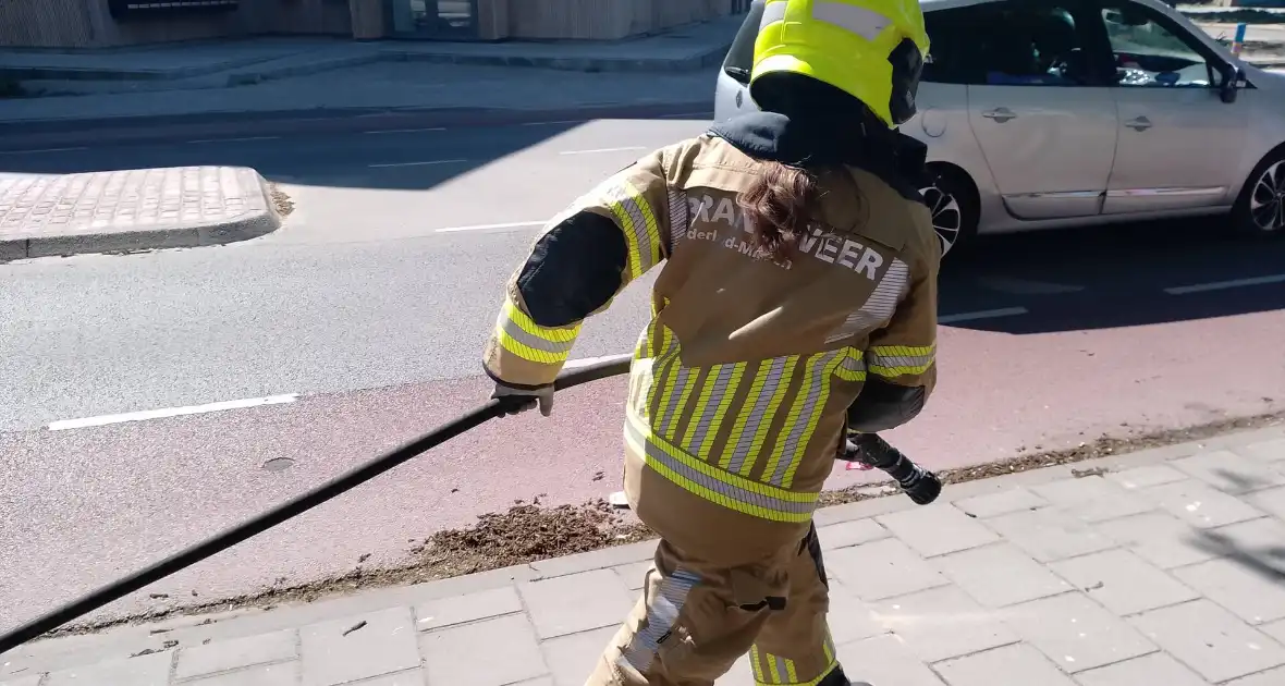 Brandweer blust smeulende boomzaden - Foto 4