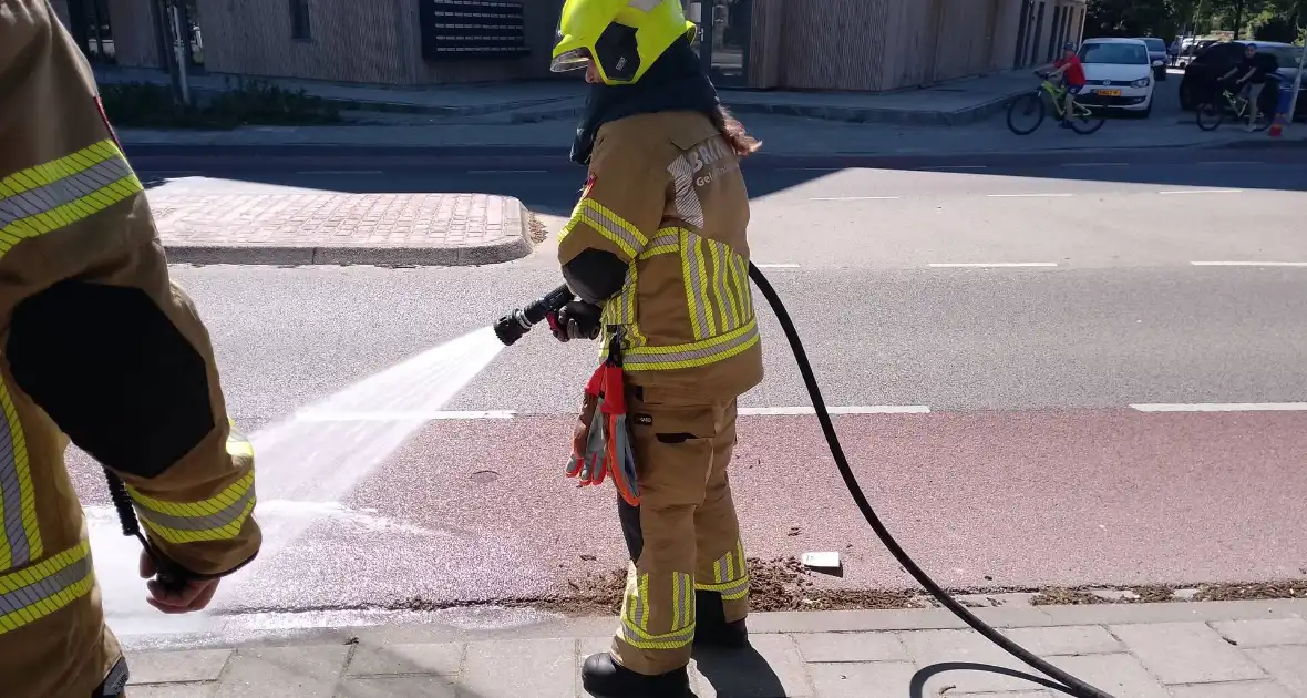 Brandweer blust smeulende boomzaden - Foto 5