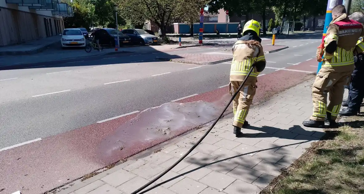 Brandweer blust smeulende boomzaden - Foto 6