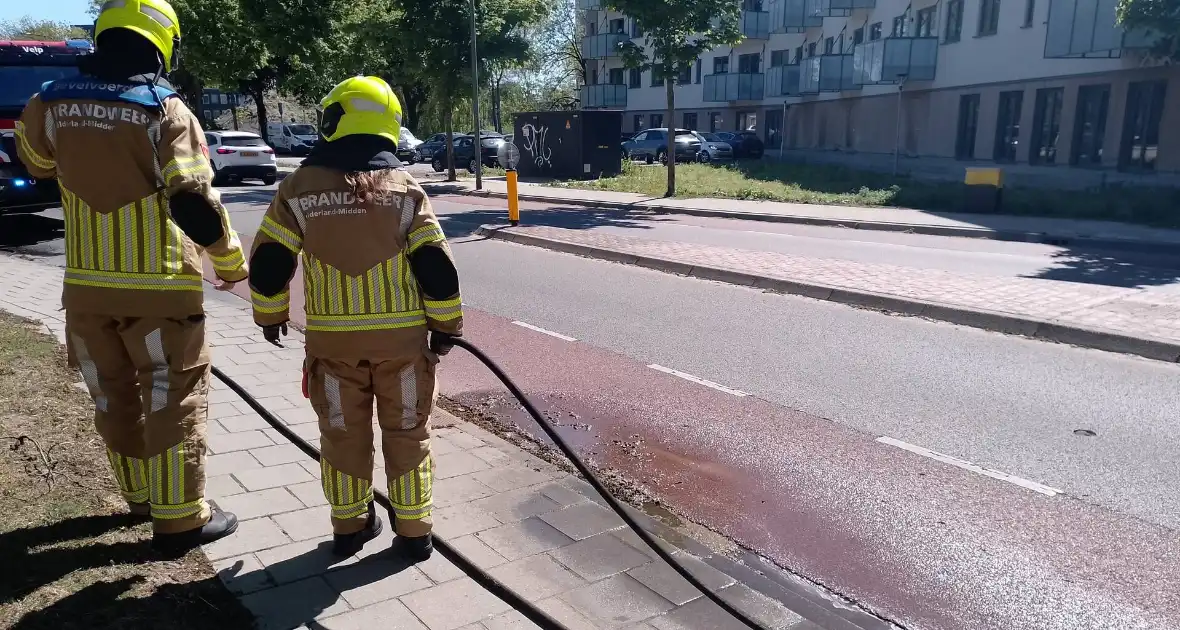 Brandweer blust smeulende boomzaden - Foto 7
