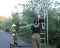 Brand in berm en boom bestreden door brandweer