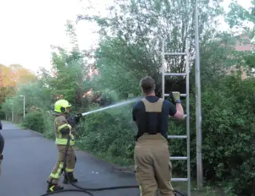 Brand in berm en boom bestreden door brandweer