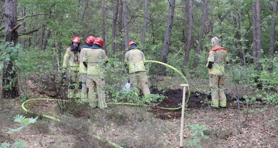 Beginnende bosbrand snel geblust