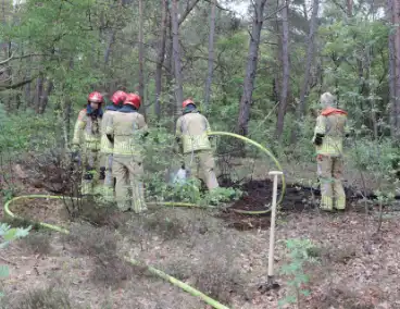Beginnende bosbrand snel geblust